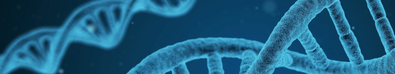 NGV DNA