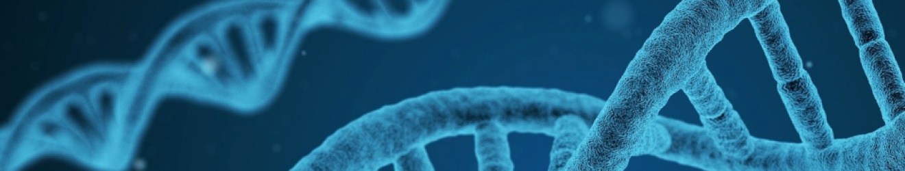 DNA Workshop op 3 juni 2023